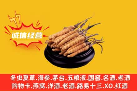 珠海回收冬虫夏草